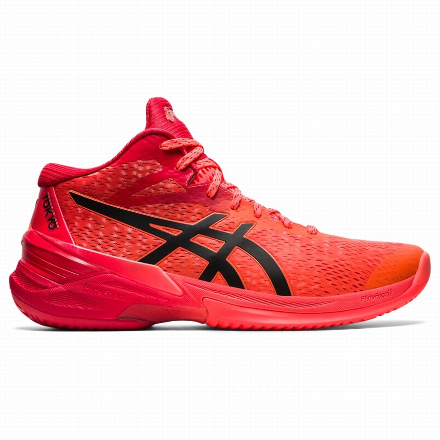 Asics best sale elite 3